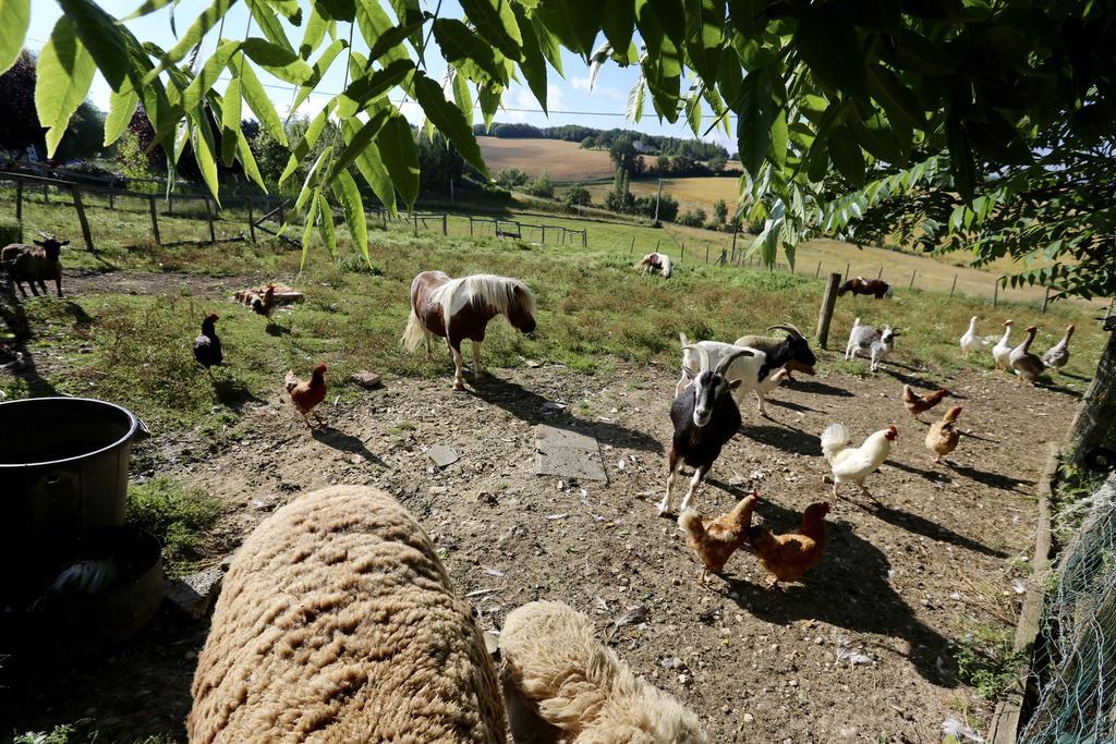 La Ferme Couderc Villa Castelnaud-de-Gratecambe Buitenkant foto