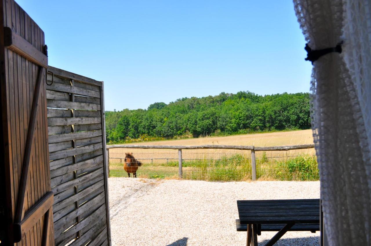 La Ferme Couderc Villa Castelnaud-de-Gratecambe Buitenkant foto